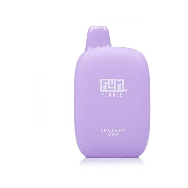A flum-pebble-blueberry-mint by Vape4Less.